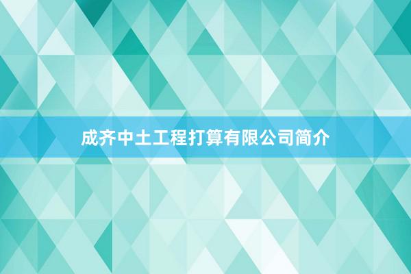 成齐中土工程打算有限公司简介