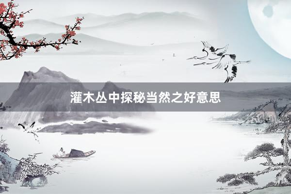 灌木丛中探秘当然之好意思