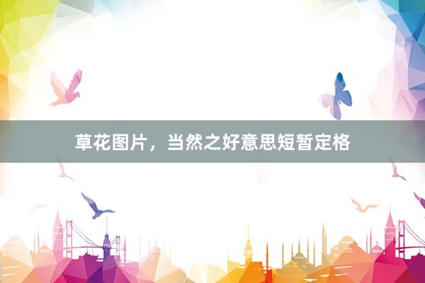 草花图片，当然之好意思短暂定格