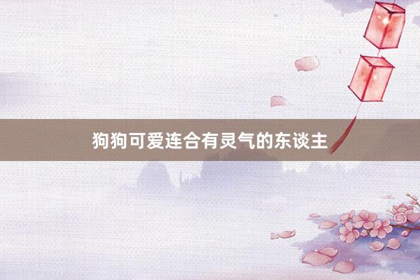 狗狗可爱连合有灵气的东谈主
