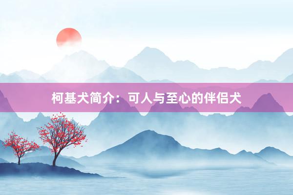 柯基犬简介：可人与至心的伴侣犬