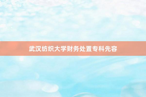 武汉纺织大学财务处置专科先容